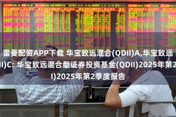 雷曼配资APP下载 华宝致远混合(QDII)A,华宝致远混合(QDII)C: 华宝致远混合型证券投资基金(QDII)2025年第2季度报告