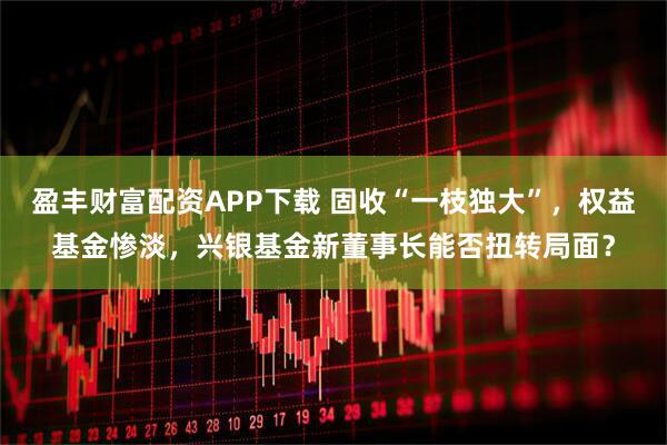 盈丰财富配资APP下载 固收“一枝独大”，权益基金惨淡，兴银基金新董事长能否扭转局面？