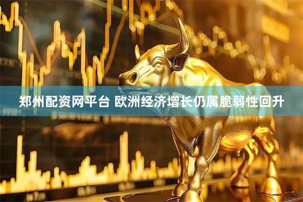 郑州配资网平台 欧洲经济增长仍属脆弱性回升