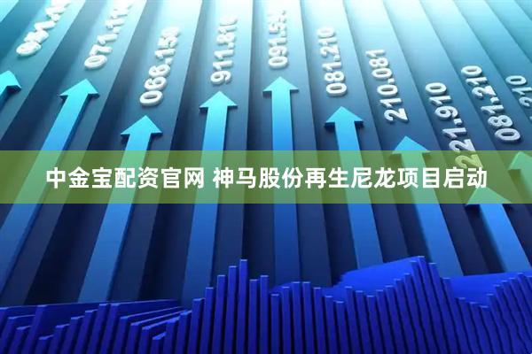中金宝配资官网 神马股份再生尼龙项目启动